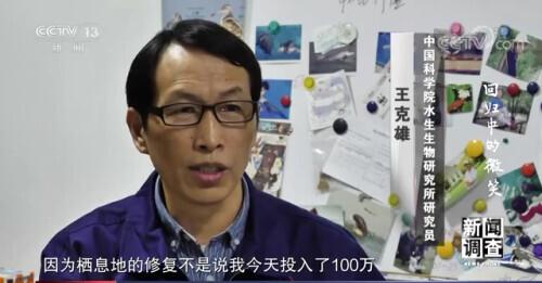 济南沙包土洗砂机厂家