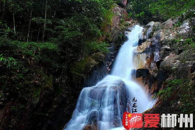 昨天我的家鄉郴州獲評2021中國·广东旅游总评榜年度最受欢迎国内旅游目的地