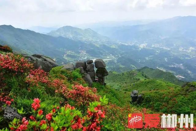 昨天我的家鄉郴州獲評2021中國·广东旅游总评榜年度最受欢迎国内旅游目的地