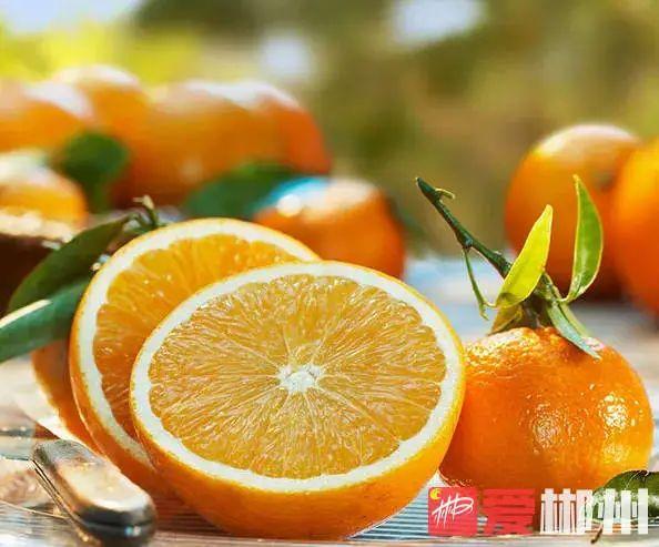 昨天我的家鄉郴州獲評2021中國·广东旅游总评榜年度最受欢迎国内旅游目的地