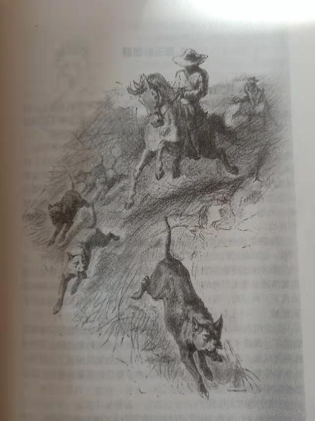 选一本诗，和孩子从春天读到冬天 | 100个家庭的年度阅读故事