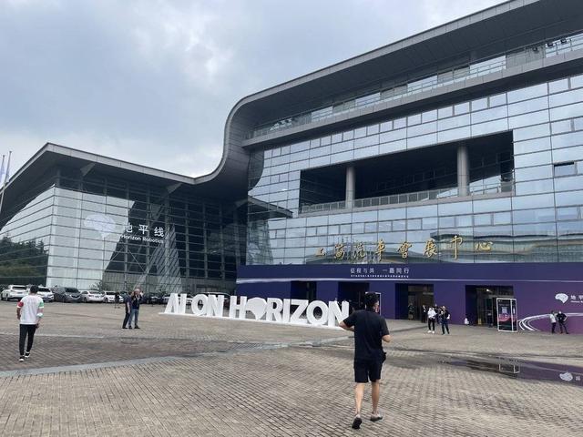 天才、忽悠与炮灰