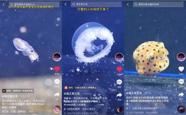 台州耐磨陶瓷过滤机的简单介绍