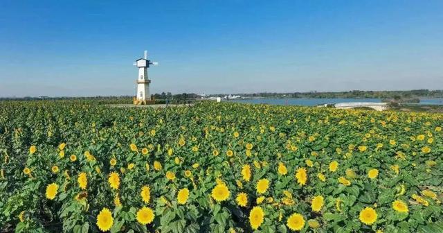 江蘇文旅頭條 |江蘇新晉10家國家4A級旅行景區，美的風光再擴容朋友圈