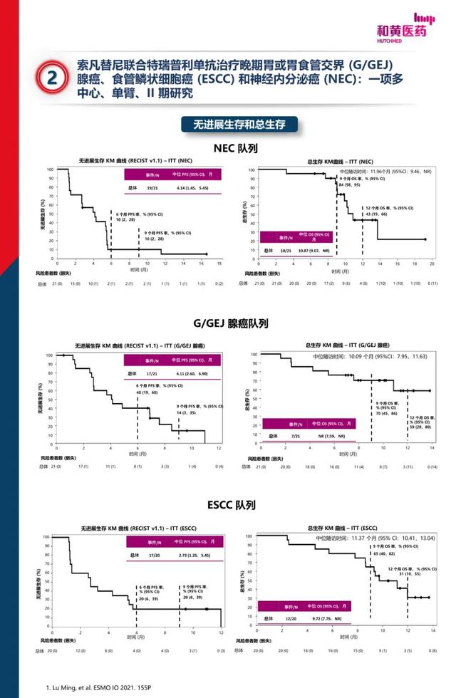 2021 ESMO-IO 前沿進展-索凡替尼最新研究進展速遞