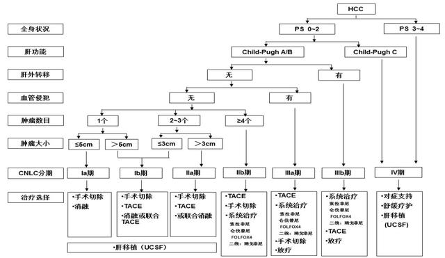 肝癌和“蟲癌”治療能否殊途同歸