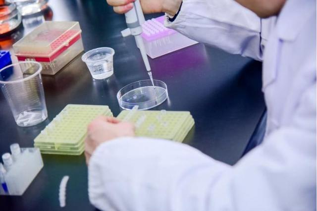 “论文写在产品上，研究做在工程中”乳业生物技术国家重点实验室助力中国乳业高质量发展-第6张图片-9158手机教程网