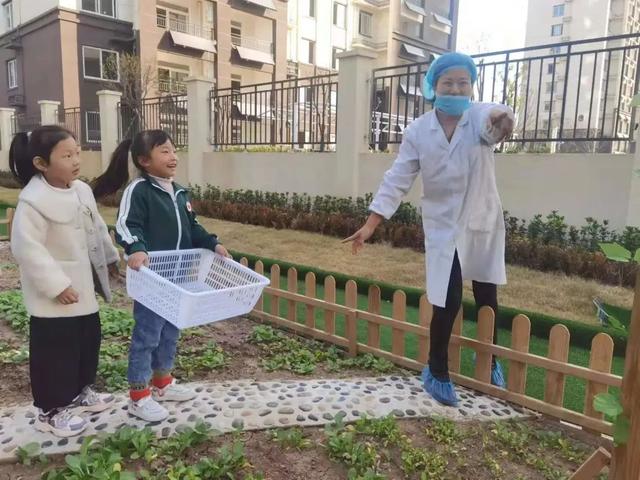 新华颍新幼儿园：与自然共融 向未来生长