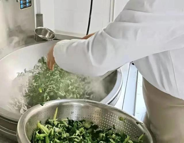 新华颍新幼儿园：与自然共融 向未来生长