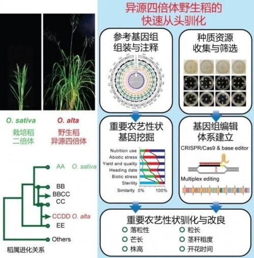 中山制砂机厂家批发