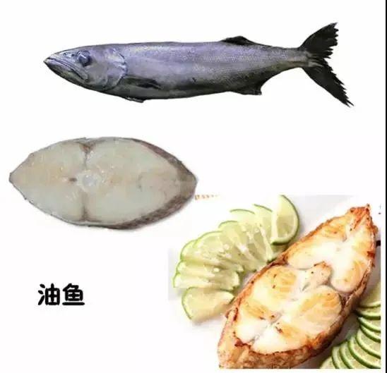 鳕鱼油鱼