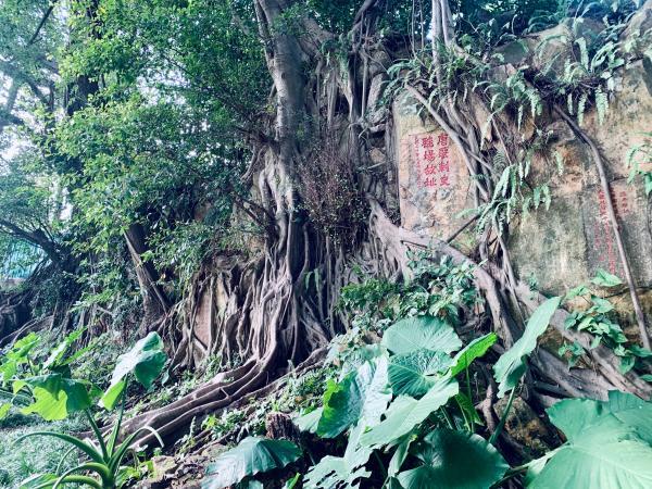 濮阳花岗岩制砂机行情