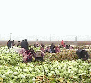 临沂市兰陵县过滤机