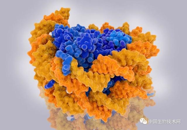 The Scientist：2021年最精彩的遗传学研究-第3张图片-9158手机教程网