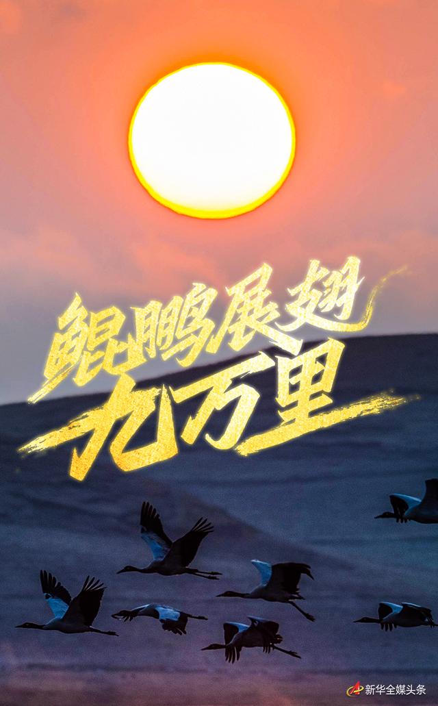 河北百展工程咨询
