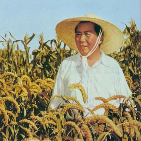 长寿的毛泽东主席是如何保健养生的？