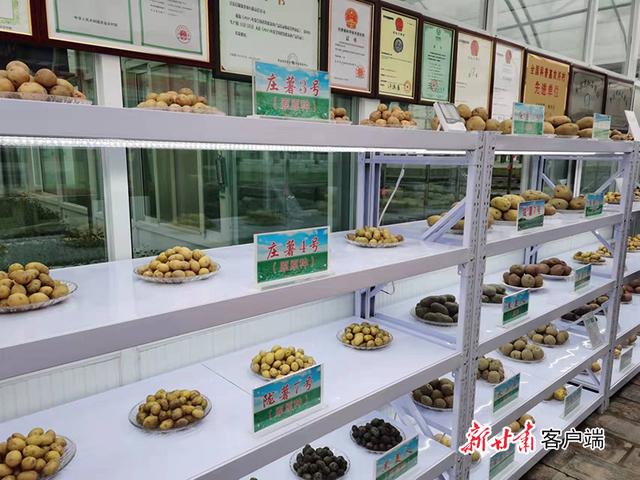 甘肃车载移动制砂机型号