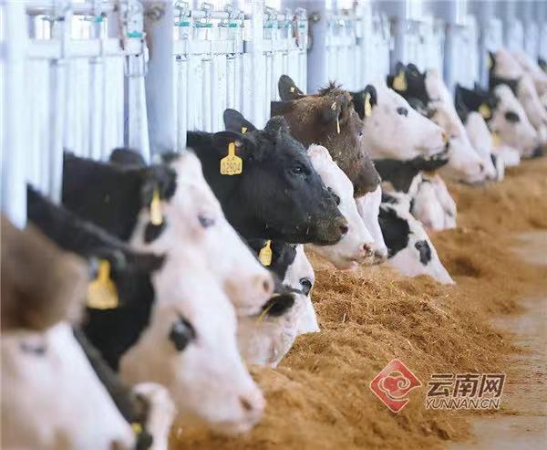 包含保山四排轮式洗砂机哪里买的词条