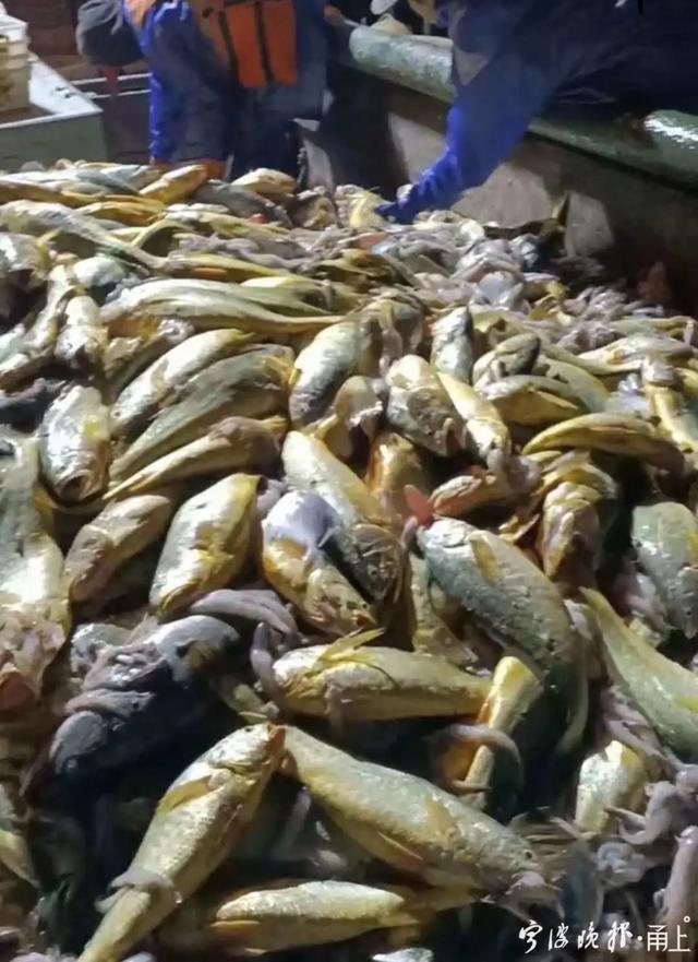 宁波机械展设计价钱