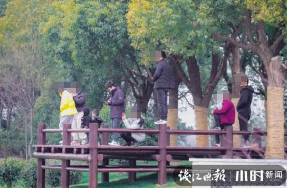 2021杭州国际工程机械展