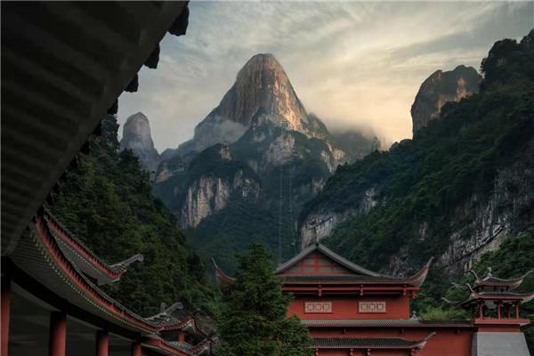 创展育苗工程启动会