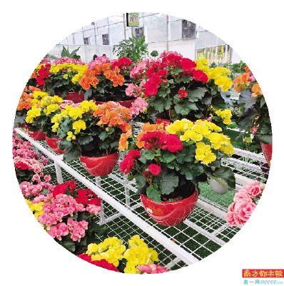 展象工程定点采购