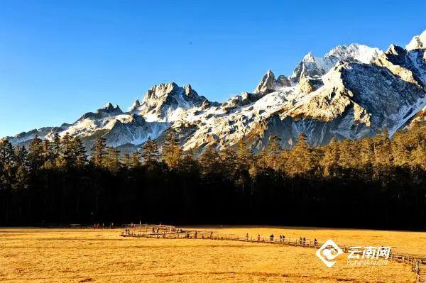 春节出游,全是干货丨云南16州市景区优惠暨文旅活动速看→