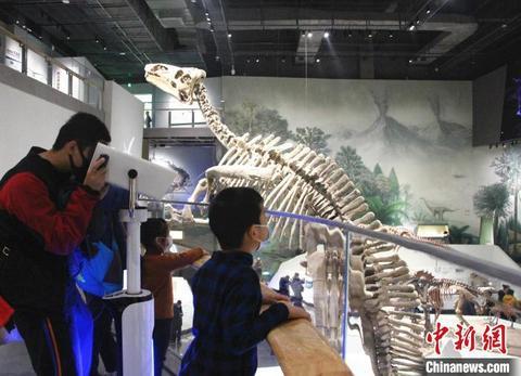 山东第一场机械展