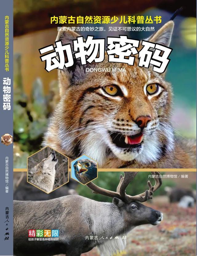 吴彤藏狐卡通形象-天晟网