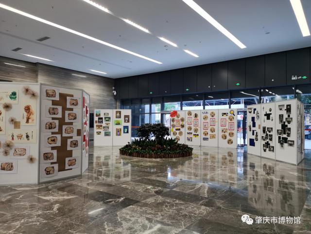 �ز�ӭ�´�����ζ����Ũ����Щ����ʷ׳�......