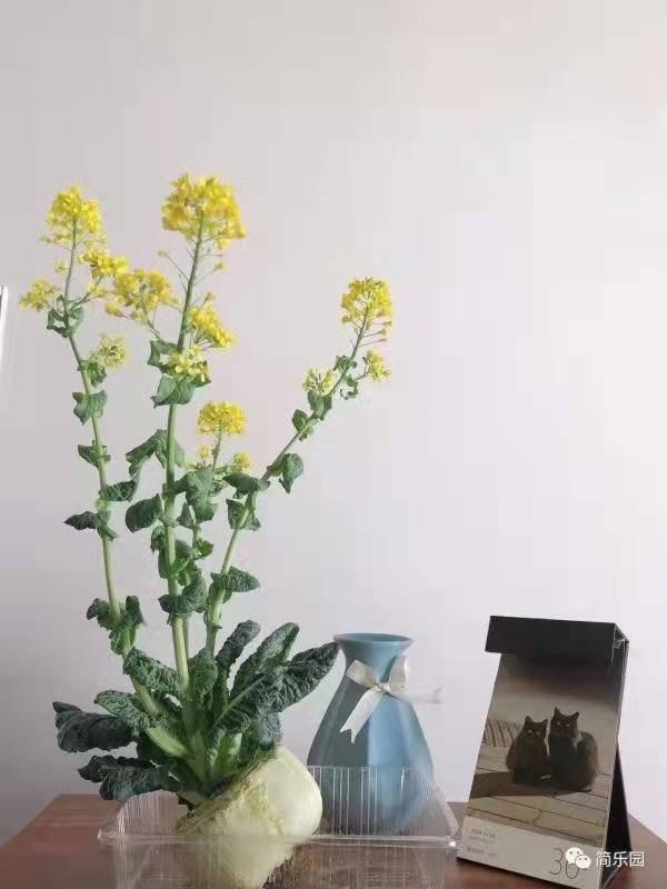 包含东营鹅卵石制砂机厂家的词条