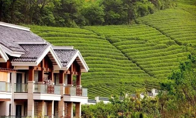 阳明温泉山庄