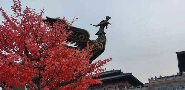 祥云鹅卵石洗砂机哪家好