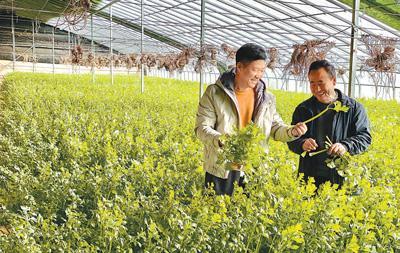 福建过滤机厂的简单介绍