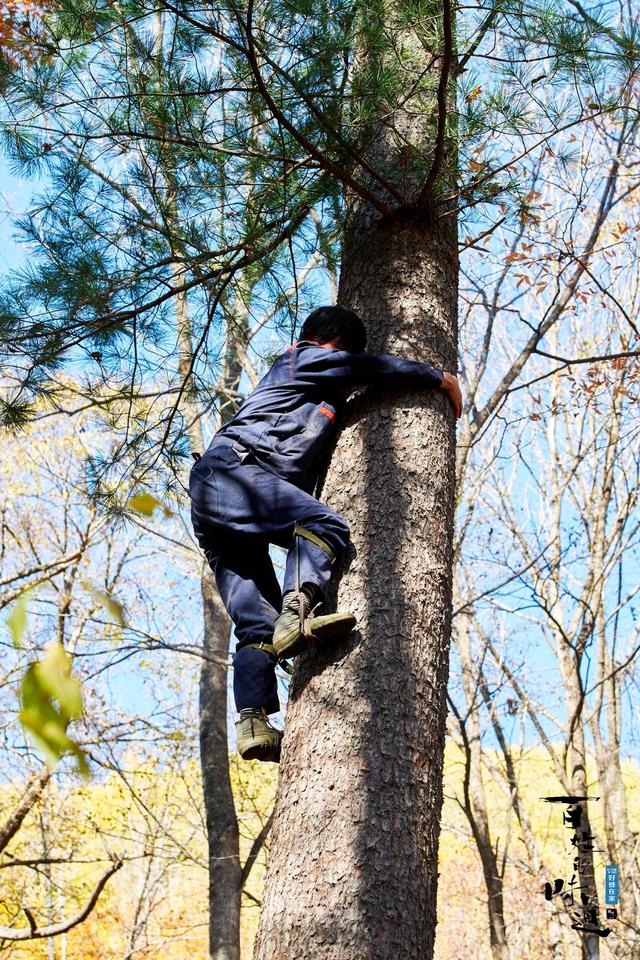 土豆鸡皮疙瘩系列3