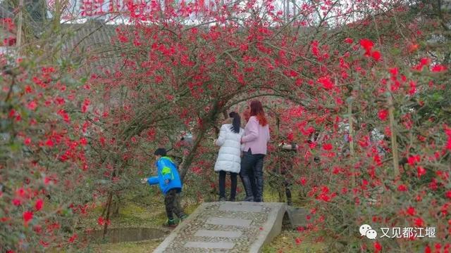 成都适合团建聚餐的地方 成都适合团建聚餐的地方