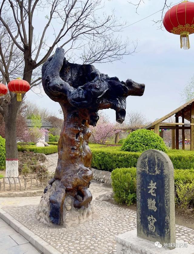 山西大槐树传说，究竟是什么？
