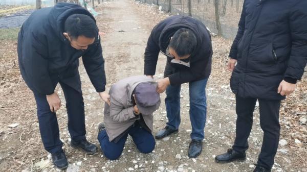77岁的持刀杀人逃犯落网：潜逃13年从不与人争吵、以养猪为生
