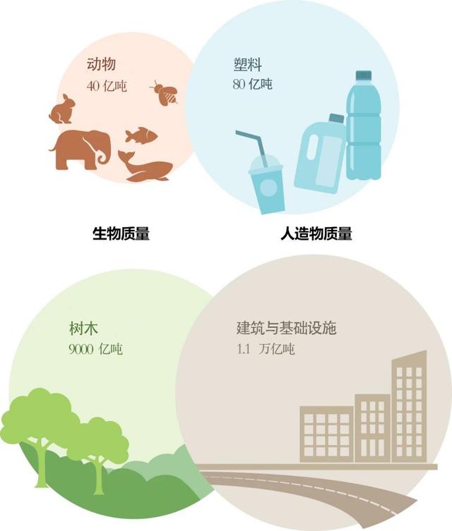 食品及机械展参考文献