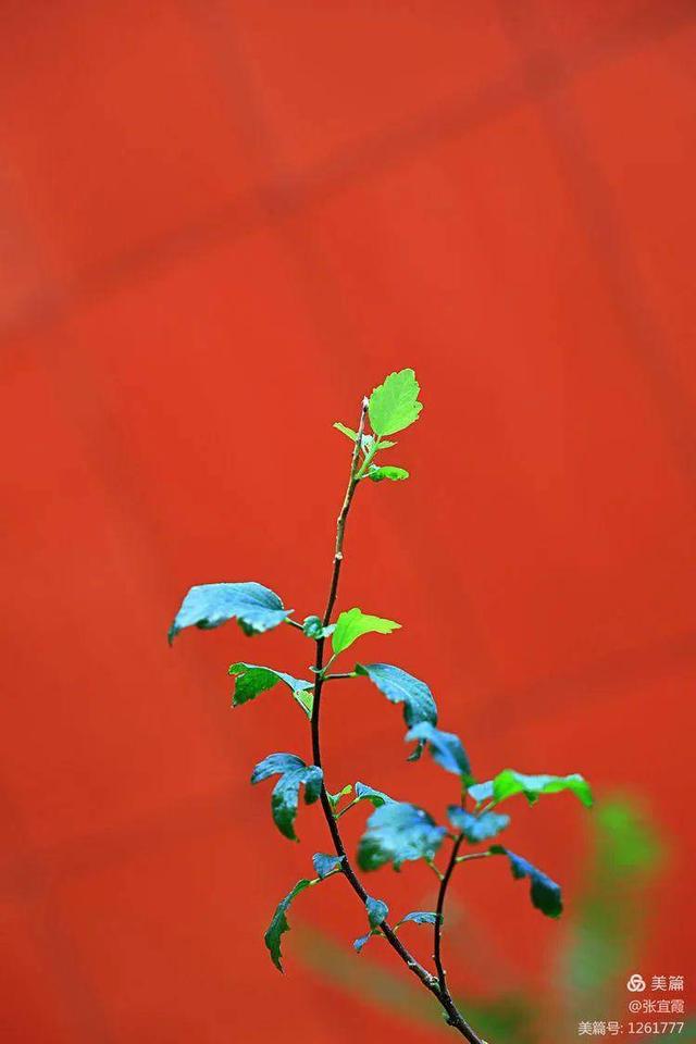 咏二十四节气诗