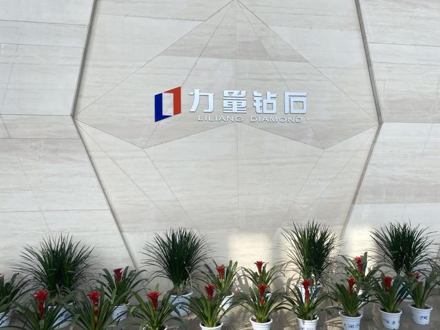 关于河南生产耐磨合金洗砂机叶片的信息