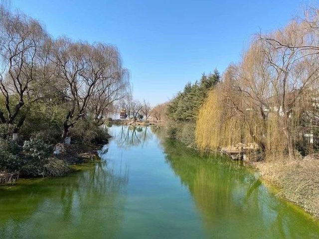 春的气息……