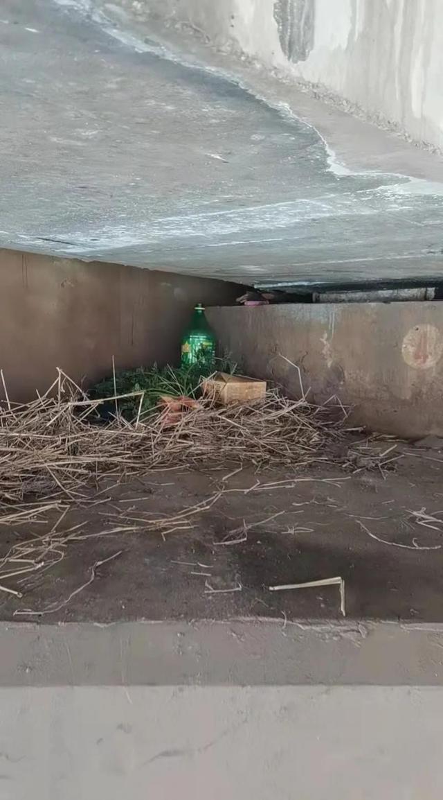 男孩子离家出走去哪里(叛逆期的男孩子离家出走)