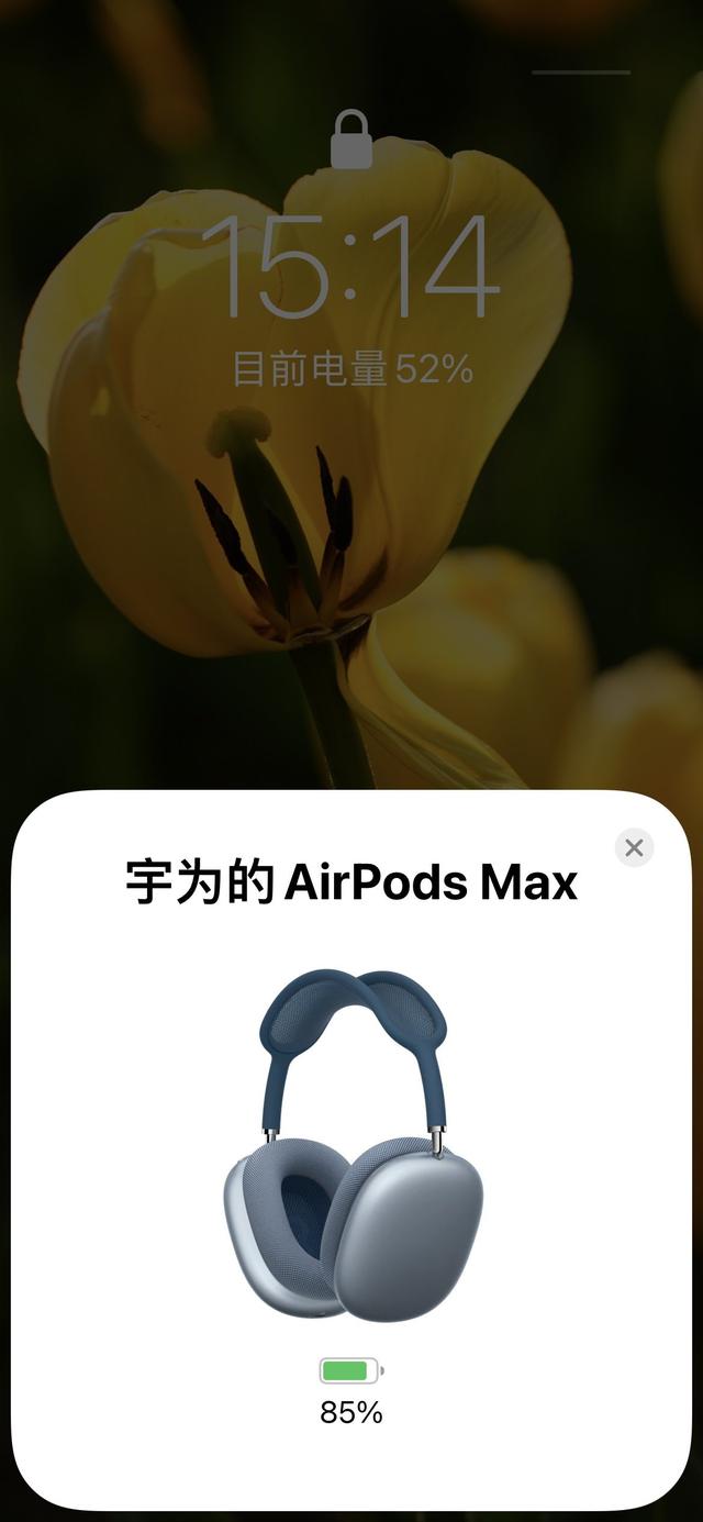 Apple 苹果 AirPods Max 主动降噪蓝牙无线头戴式耳机测评报告 「SOOMAL」