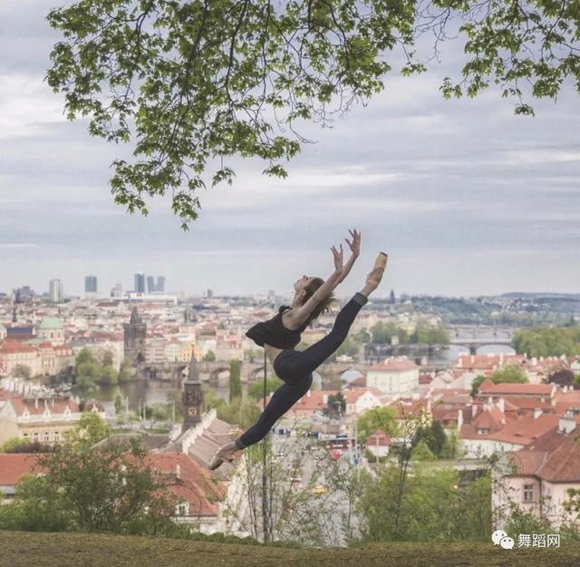 春天爱跳舞(春天跳舞句子)