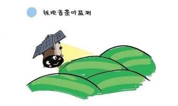 安溪印刷机械展公司