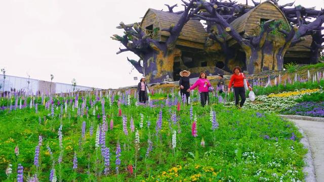 成都适合团建聚餐的地方 成都适合团建聚餐的地方