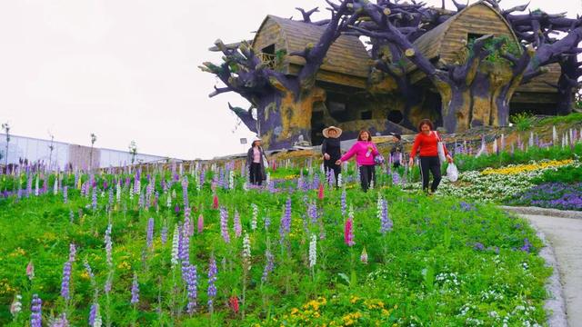 成都适合团建聚餐的地方