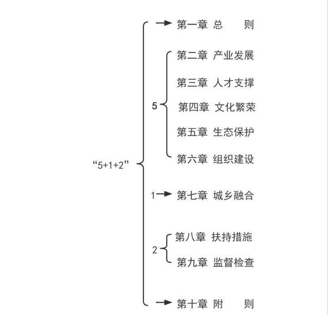 全国人大代表降初：谈一谈对全面实施乡村振兴战略的基本认识-第2张图片-9158手机教程网