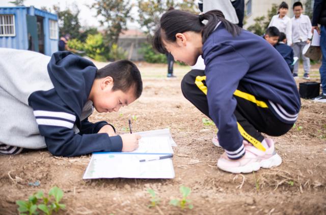 为学生成长赋能！潍坊这所学校探索新时代劳动教育新模式